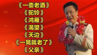 《一壶老酒》《驼铃》《鸿雁》《渴望》《天边》《一晃就老了》