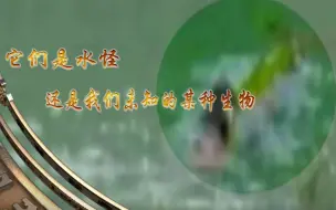 【经典传奇】暗河水怪之谜
