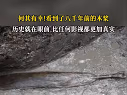 何其有幸啊！我们看到了8000年前的木桨！