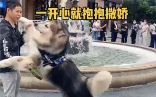 爱抱抱臭显摆
