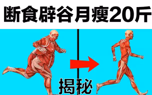 食品行业不想你知道的减肥真相：轻断食/间歇性断食/Intermittent Fasting