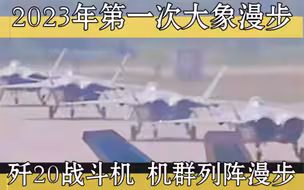 歼20战斗机！2023年第一次大象漫步！机群列阵漫步
