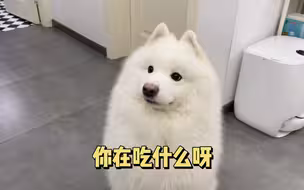 这应该就是隔辈儿亲吧！