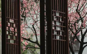 日长风静，花影闲相照 | 苏州园林