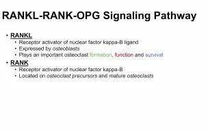 RANKL-RANK-OPG信号通路｜信号通路系列
