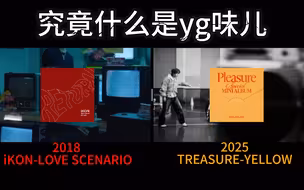 什么是YG味儿