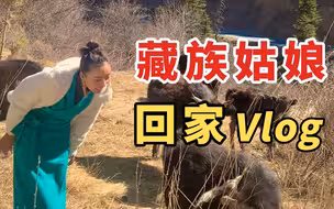 VLOG|我回家啦，藏族的日常生活是怎样的？