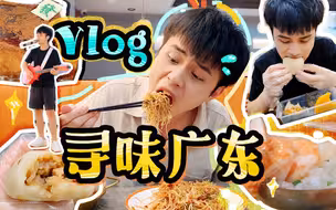 【惠州VLOG】广东惠州逛吃逛吃！茶果/茶餐厅/横沥汤粉！惊艳到老泪纵横！
