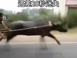 马上迷失了