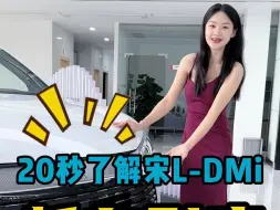 百色的老板们，宋L DMi到店啦