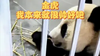 （考古）金虎:什么叫自恋？本来就很帅好吧！