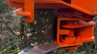 一剪没