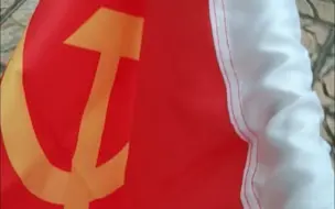 苏联解体三十周年时，在天台挥旗会发生什么？