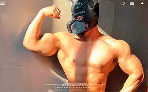 肌肉狗与光影（今天练背）