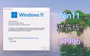 当第一个版本Win11是什么样体验？ - Windows 11 Build 21996