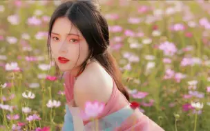 一首好听的古风音乐《笑纳》撑伞接落花，看那西风骑瘦马