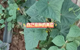 越来越好