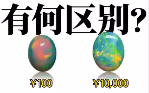 欧泊全面科普，入门看这一个视频就够了！