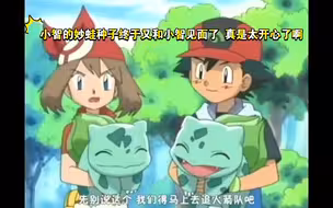 精灵宝可梦 小智的妙蛙种子终于又和小智见面了 真是太开心了啊