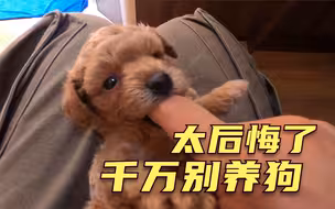 【后悔养狗】养狗两天，我人快不行了