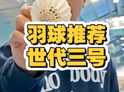 口粮球测评羽毛球推荐羽毛球测评