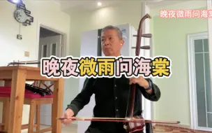 【镜予歌、陈亦铭、喧笑】二胡演奏  晩夜微雨问海棠