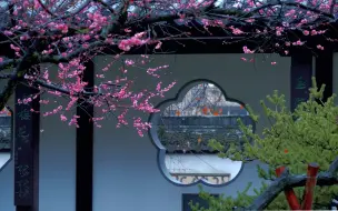 江南无所有，聊赠一枝春 | 园林梅花故事（花木配置 中式美学资料片）