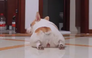 这回是真的生气了