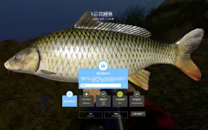明月当空照，三花水中游【俄罗斯钓鱼4】