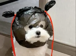 打劫！我乃哪吒三太子~！！！