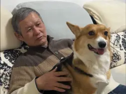 我爸居然给我家狗准备了情人节礼物！