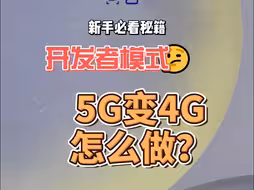 三星s24如何进入开发者模式？如何4G和5G来回切换？