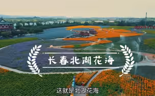 长春北湖花海 市内最大的花海十分惊艳 拍照打卡的好地方