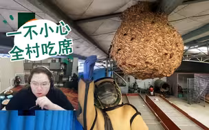 PDD在B站看子威摘马蜂窝：这也太大了吧？