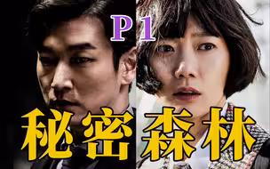 剧TOP：韩国反腐神剧！豆瓣9.3高分剧《秘密森林》P1