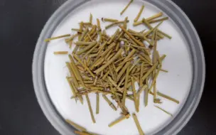 【中药鉴定技术】全草类中药的鉴别，太难了，认出10个算我输！