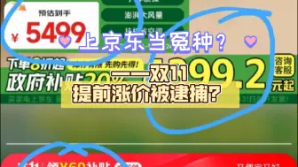 上京东，当冤种——双11提前涨价被逮捕？