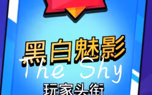 黑白只是我的代名词，而不是我