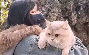 带猫去深山寻水晶矿脉…