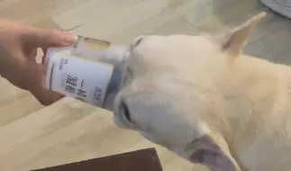沉浸式嗦酸奶