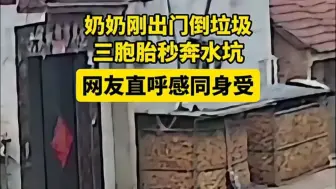 奶奶刚出门倒垃圾，三胞胎秒奔水坑，网友直呼感同身受。