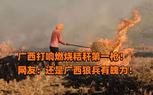 广西贺州打响燃烧秸秆第1枪！网友：还是广西狼兵有魄力！