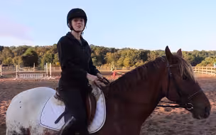 马术学习：如何正确持缰？你真的完全了解么？ HOW TO HOLD HORSE REINS _THE RIGHT WAY