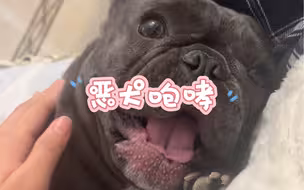 恶犬咆哮