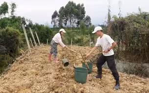 三句话让一个男人为我干了三天活