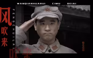 毛x林——万千花蕊，慈母悲哀
