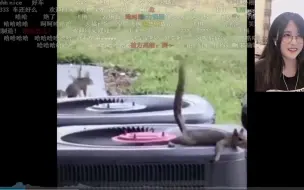 沙雕网友们