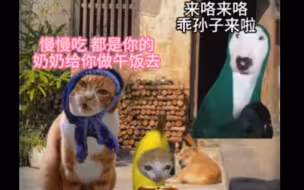 关于奶奶的回忆