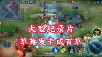 大型纪录片草莓发卡戚百草