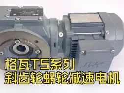 格瓦TS系列斜齿轮蜗轮减速电机